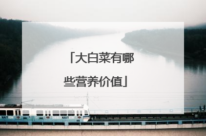 大白菜有哪些营养价值