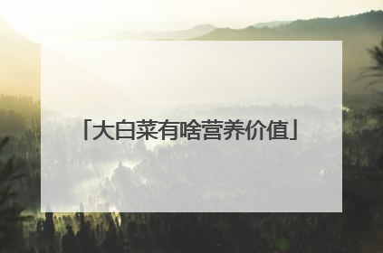 大白菜有啥营养价值