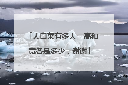 大白菜有多大，高和宽各是多少，谢谢