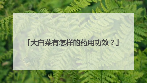 大白菜有怎样的药用功效?