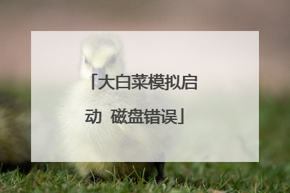 大白菜模拟启动 磁盘错误
