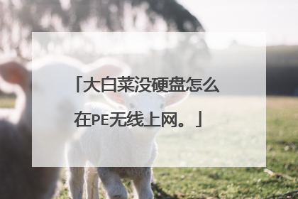 大白菜没硬盘怎么在PE无线上网。