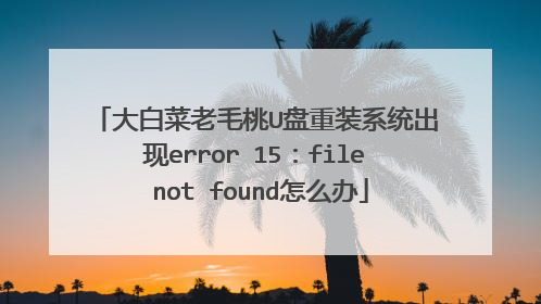 大白菜老毛桃U盘重装系统出现error 15:file not found怎么办