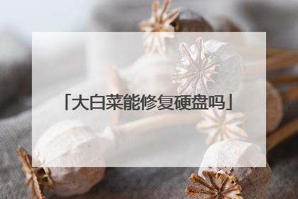 大白菜能修复硬盘吗