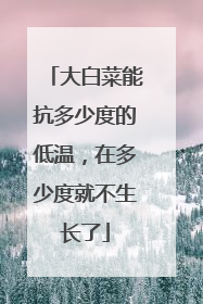 大白菜能抗多少度的低温,在多少度就不生长了
