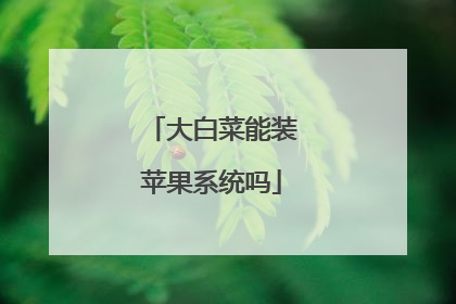大白菜能装苹果系统吗