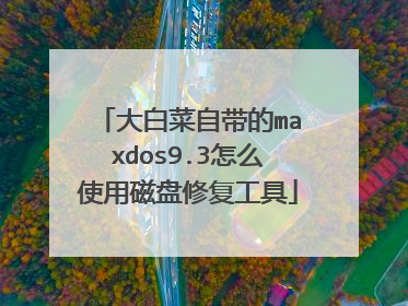 大白菜自带的maxdos9.3怎么使用磁盘修复工具
