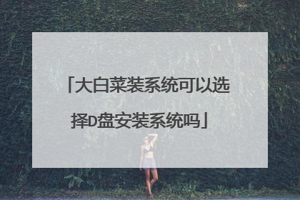 大白菜装系统可以选择D盘安装系统吗