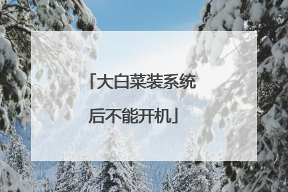 大白菜装系统后不能开机
