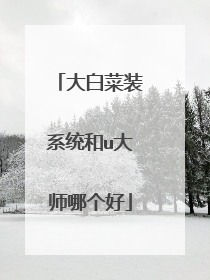 大白菜装系统和u大师哪个好