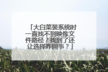 大白菜装系统时一直找不到映像文件路径?找到了还让选择咋回事?