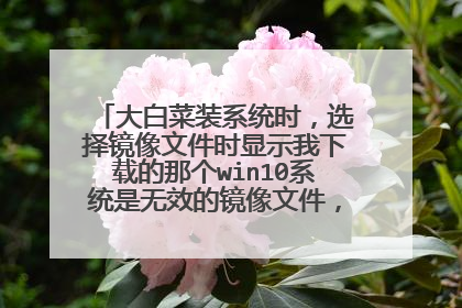 大白菜装系统时，选择镜像文件时显示我下载的那个win10系统是无效的镜像文件，后缀是SIO的