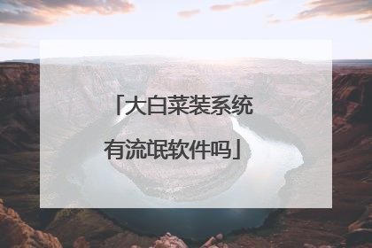 大白菜装系统有流氓软件吗