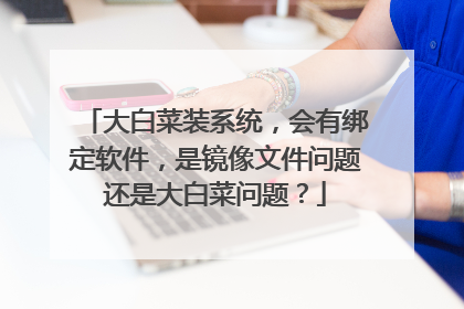 大白菜装系统，会有绑定软件，是镜像文件问题还是大白菜问题？