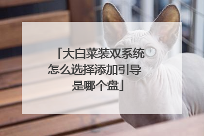 大白菜装双系统怎么选择添加引导 是哪个盘
