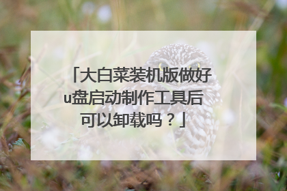 大白菜装机版做好u盘启动制作工具后可以卸载吗？