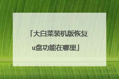 大白菜装机版恢复u盘功能在哪里