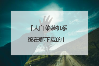 大白菜装机系统在哪下载的
