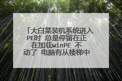 大白菜装机系统进入PE时 总是停留在正在加载winPE 不动了 电脑有从楼梯中间摔下去过!