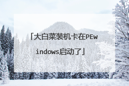 大白菜装机卡在PEwindows启动了