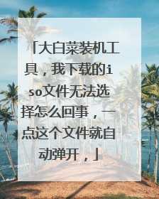 大白菜装机工具,我下载的iso文件无法选择怎么回事,一点这个文件就自动弹开,