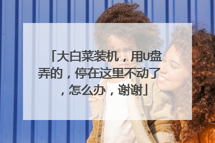 大白菜装机,用U盘弄的,停在这里不动了,怎么办,谢谢
