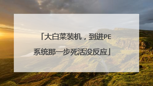 大白菜装机,到进PE系统那一步死活没反应