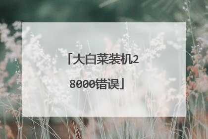 大白菜装机28000错误