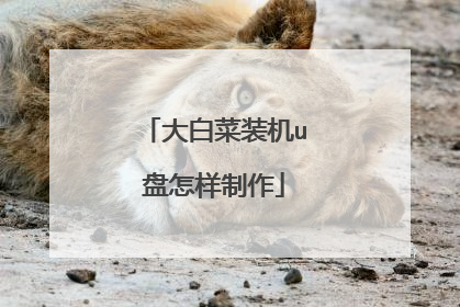 大白菜装机u盘怎样制作