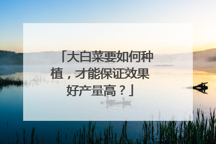大白菜要如何种植,才能保证效果好产量高?