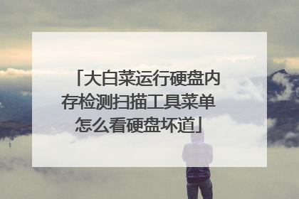 大白菜运行硬盘内存检测扫描工具菜单怎么看硬盘坏道