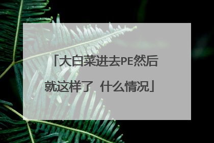 大白菜进去PE然后就这样了 什么情况