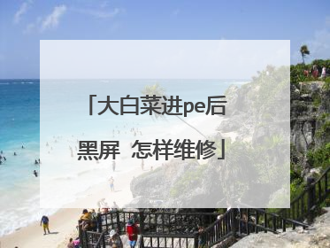 大白菜进pe后 黑屏 怎样维修