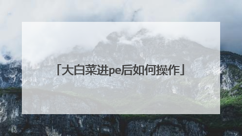 大白菜进pe后如何操作