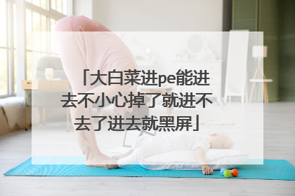 大白菜进pe能进去不小心掉了就进不去了进去就黑屏