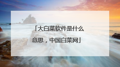 大白菜软件是什么意思,中国白菜网