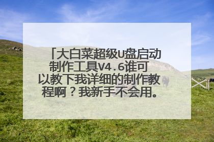 大白菜超级U盘启动制作工具V4.6谁可以教下我详细的制作教程啊？我新手不会用。先谢谢了！