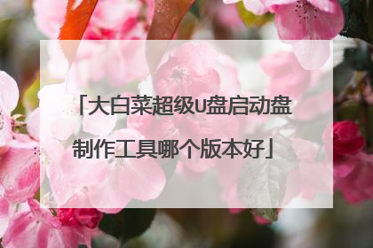 大白菜超级U盘启动盘制作工具哪个版本好