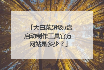 大白菜超级u盘启动制作工具官方网站是多少？
