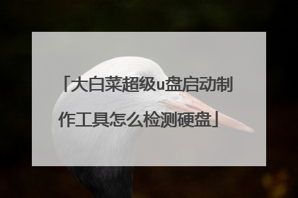 大白菜超级u盘启动制作工具怎么检测硬盘