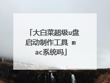 大白菜超级u盘启动制作工具 mac系统吗