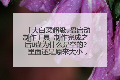 大白菜超级u盘启动制作工具 制作完成之后U盘为什么是空的? 里面还是原来大小，没有变化 为什么啊在线等 急