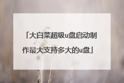 大白菜超级u盘启动制作最大支持多大的u盘