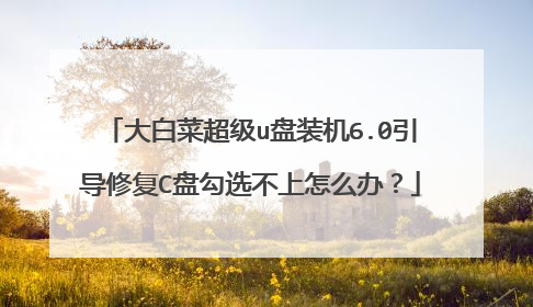 大白菜超级u盘装机6.0引导修复C盘勾选不上怎么办?