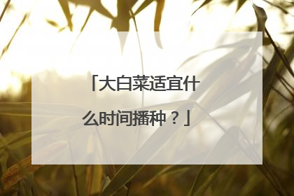 大白菜适宜什么时间播种?