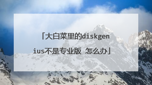 大白菜里的diskgenius不是专业版 怎么办