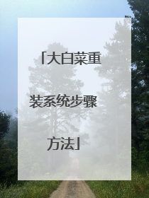 大白菜重装系统步骤方法