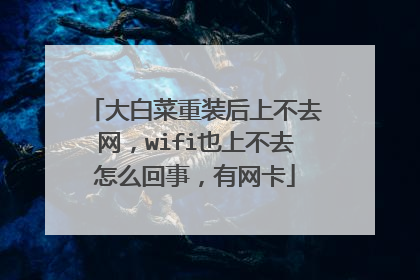 大白菜重装后上不去网,wifi也上不去怎么回事,有网卡