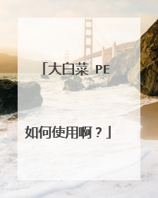 大白菜 PE如何使用啊?