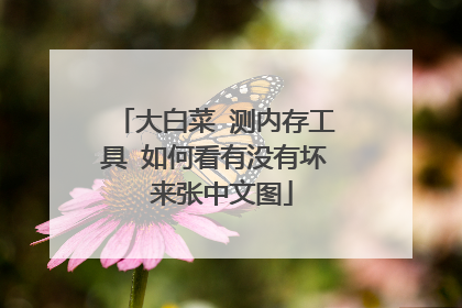 大白菜 测内存工具 如何看有没有坏 来张中文图